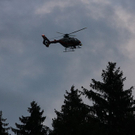 normal_27072010pijagdgaffaktivnews_14.jpg