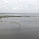 30-Meter-Fontäne: Nach Schiffsunfall neues Ölleck im Golf von Mexiko