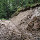 DSC08046.JPG