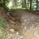 DSC08047.JPG