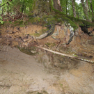 DSC08062.JPG