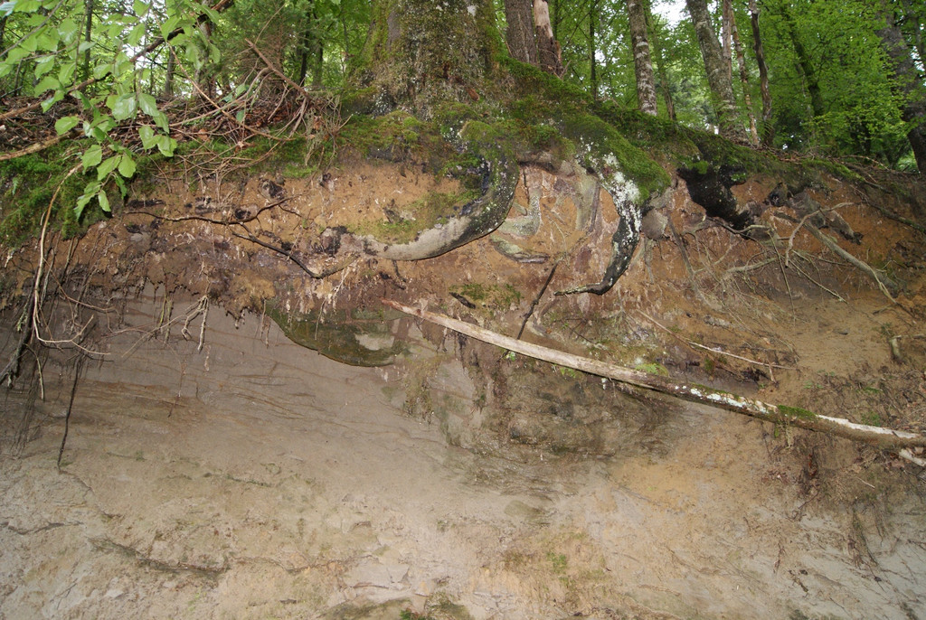 DSC08062.JPG