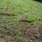 DSC08064.JPG