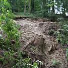DSC08068.JPG