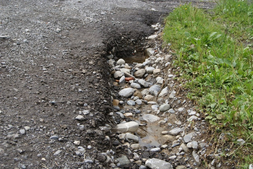 DSC08074.JPG