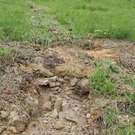 DSC08097.JPG