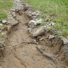 DSC08101.JPG
