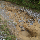 DSC08103.JPG