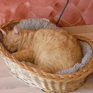 RIMG0257.jpg