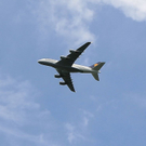 normal_28072010a380szgscmwaktivnews_11.jpg