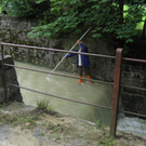 IMG_2737_JPG-1280331563