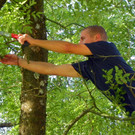 103_8874_jpg-1280338456