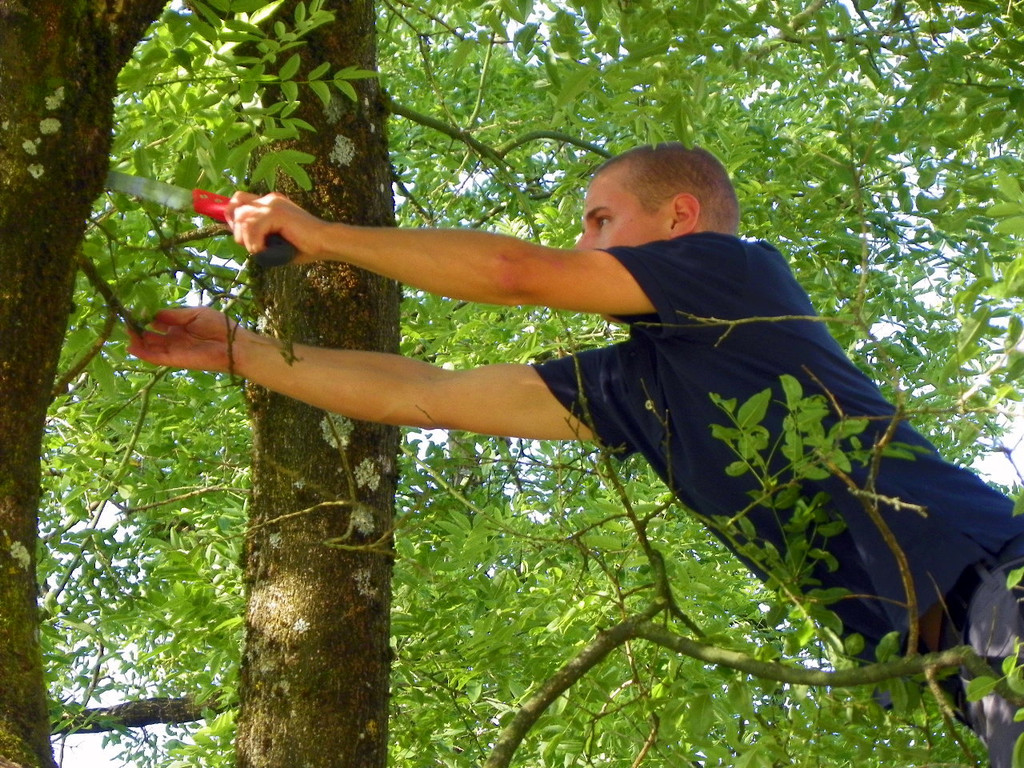 103_8874_jpg-1280338456