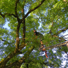 103_8875_jpg-1280338467