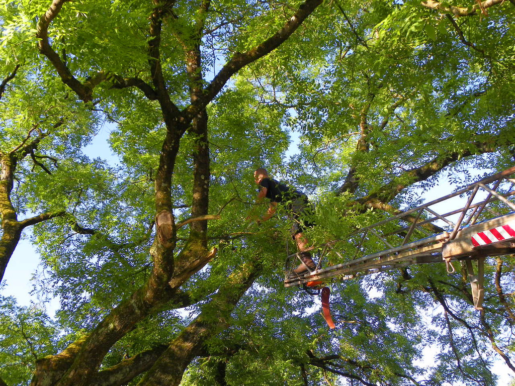 103_8875_jpg-1280338467