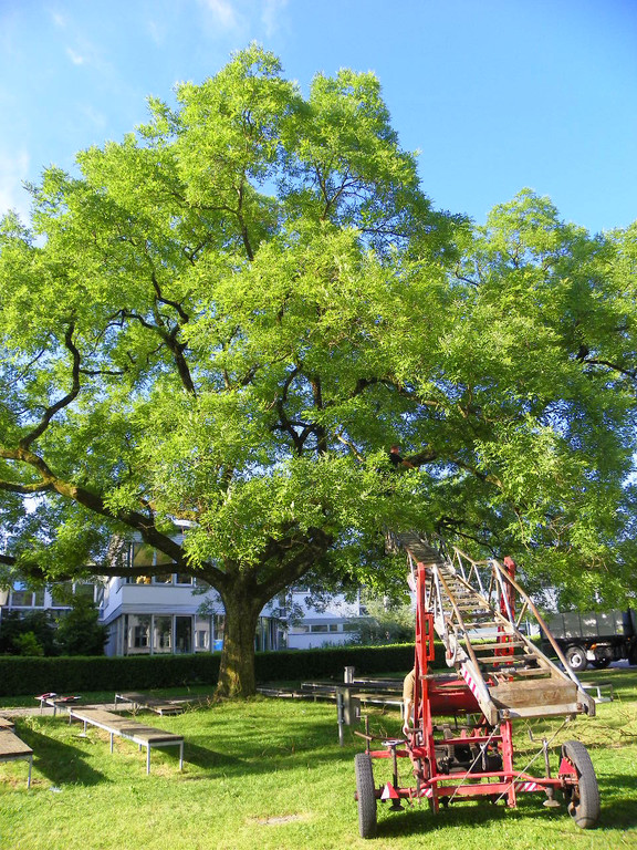 103_8876_jpg-1280338479