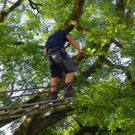 103_8879_jpg-1280338489