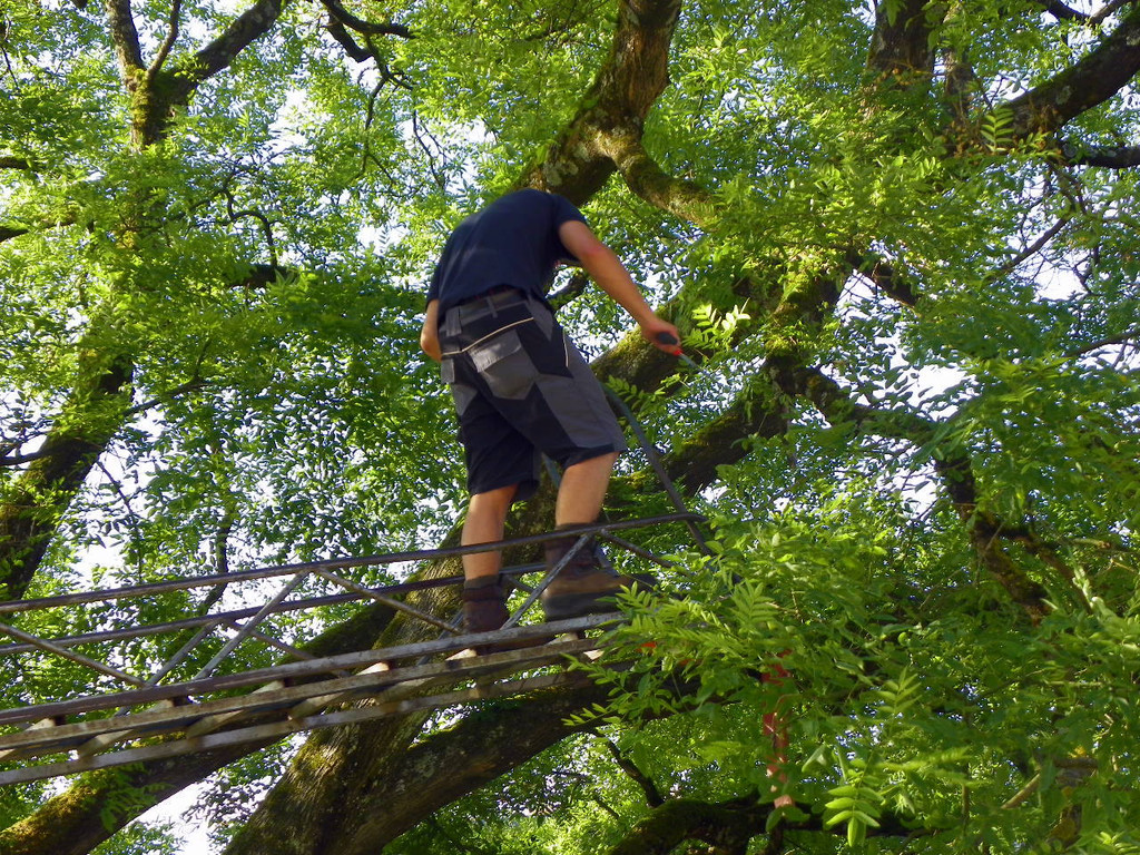 103_8879_jpg-1280338489