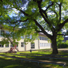 103_8891_jpg-1280338557