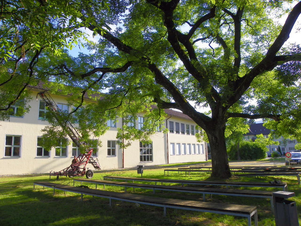 103_8891_jpg-1280338557