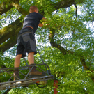 103_8881_jpg-1280338501