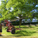 103_8882_jpg-1280338512