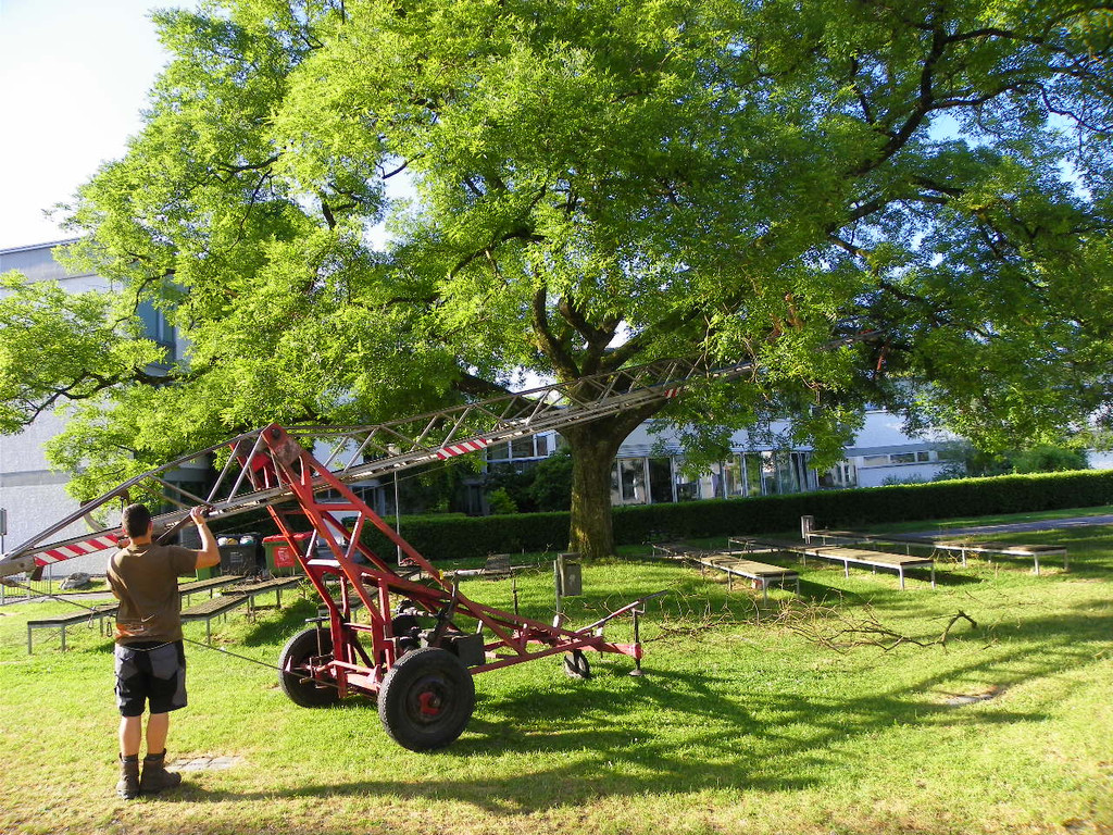 103_8882_jpg-1280338512