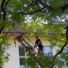 103_8892_jpg-1280338566