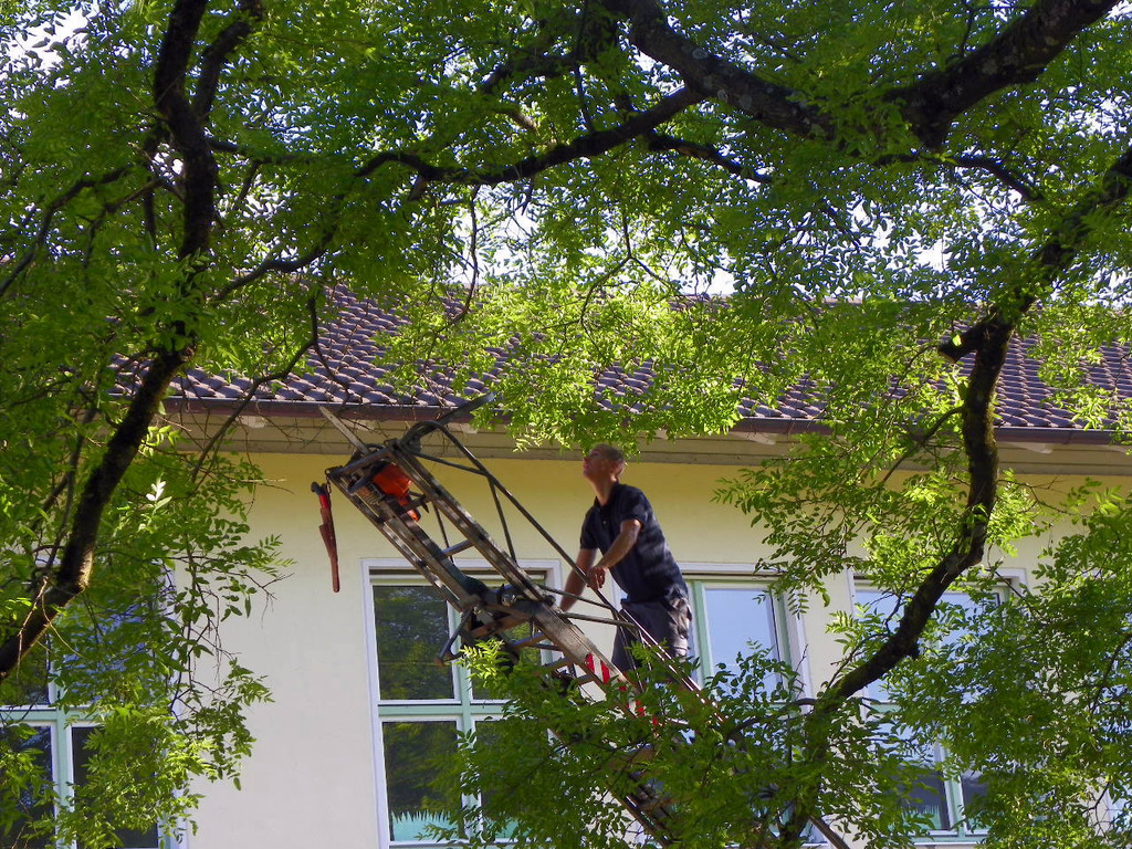 103_8892_jpg-1280338566