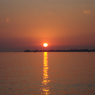 DSC02134.JPG