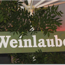 28_7_2010 feierabend hittisau11.jpg