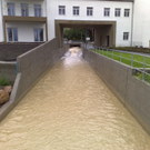 Bild5.jpg