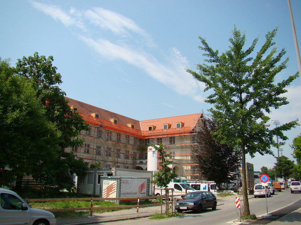 schu3.JPG