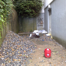 Bild2neu.jpg
