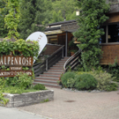 Alpenrose Schruns