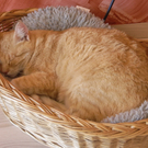 RIMG0257_.jpg