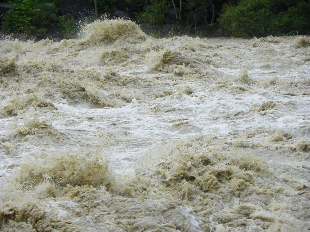 104_6076_jpg-1280422729