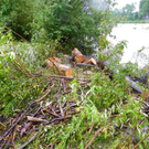 104_6110_jpg-1280422807