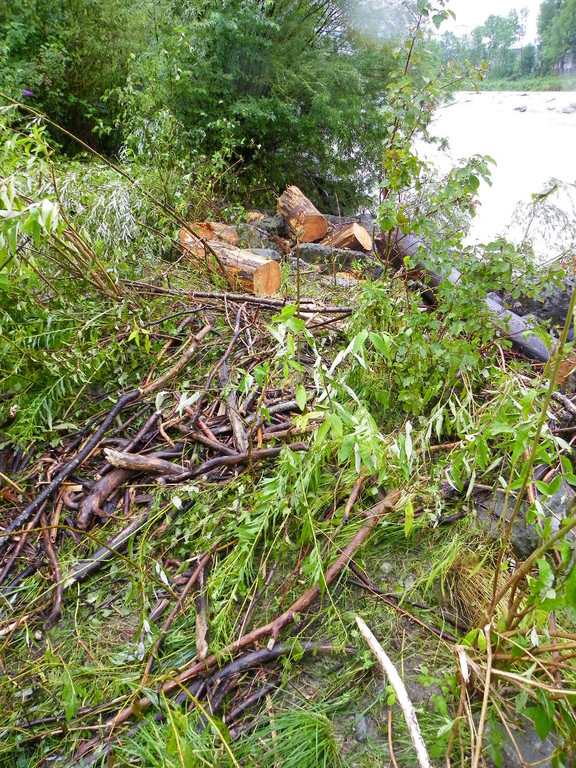 104_6110_jpg-1280422807