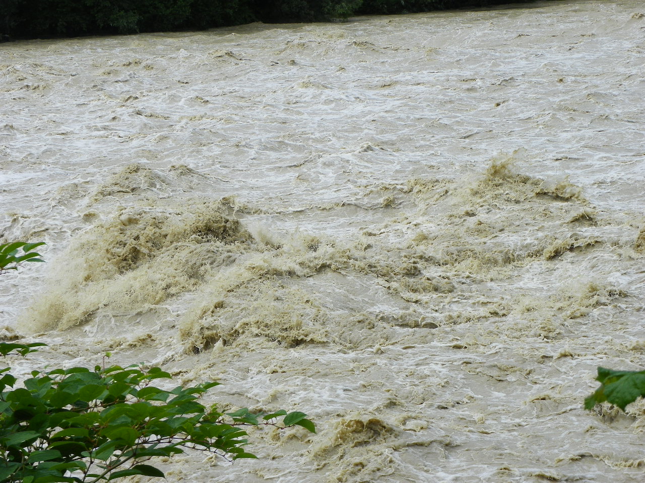 104_6081_jpg-1280422741