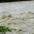 104_6081_jpg-1280422741