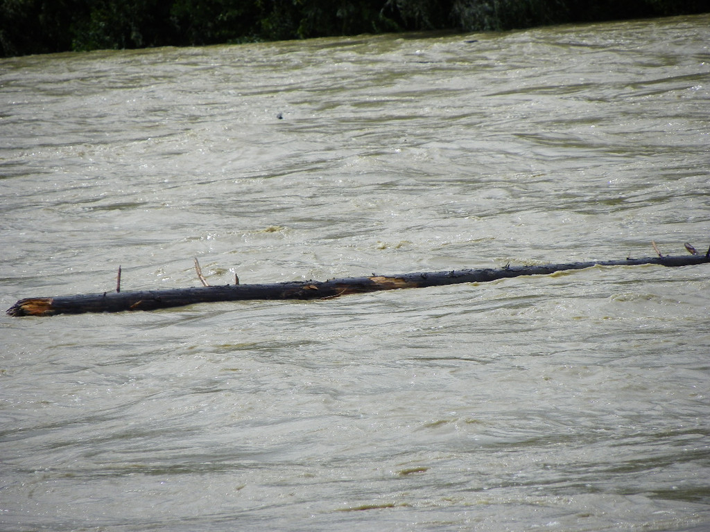 104_6097_jpg-1280422773