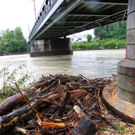 104_6108_jpg-1280422796