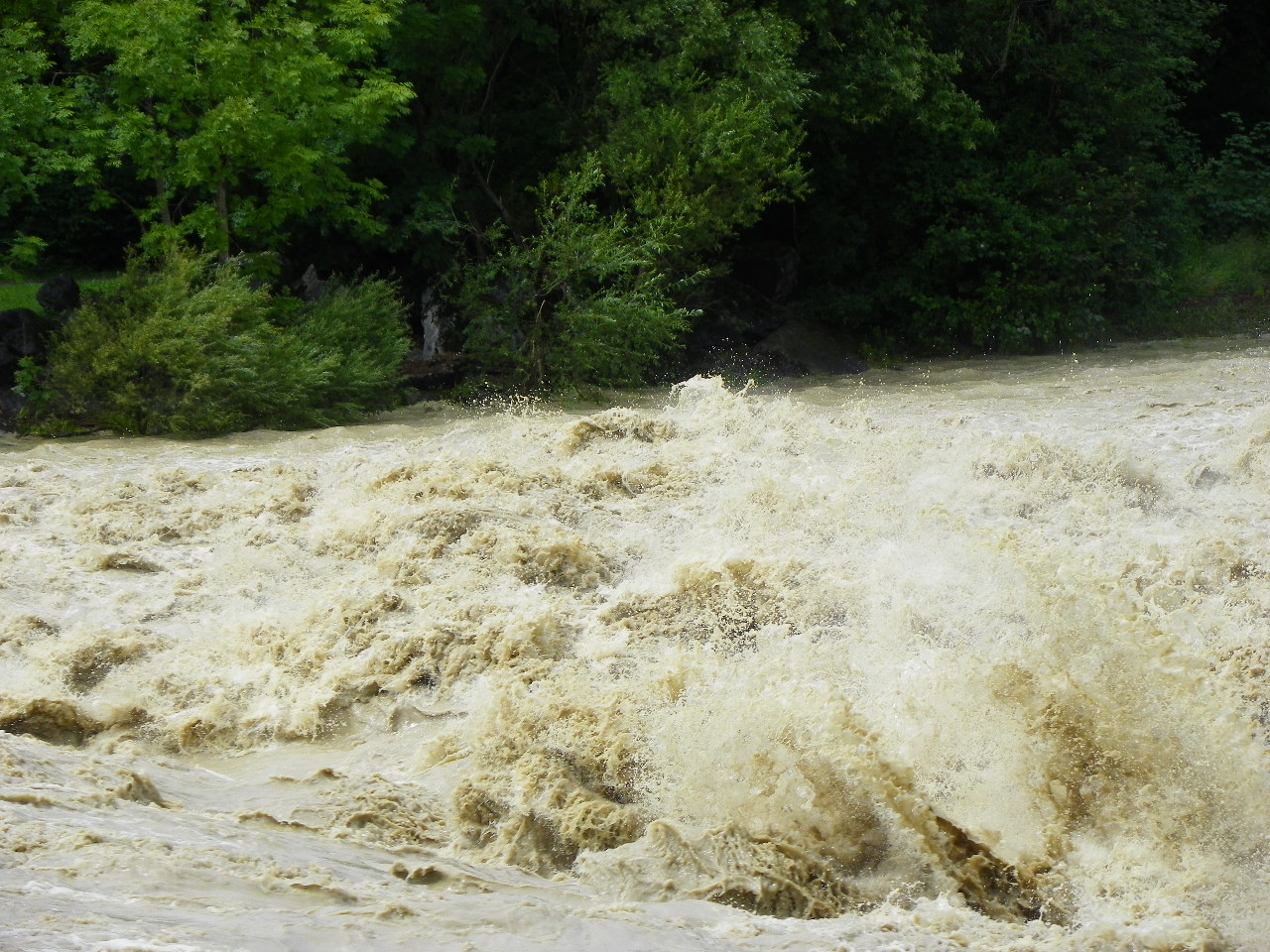 104_6085_jpg-1280422752