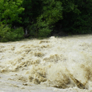 104_6085_jpg-1280422752