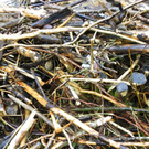 104_6114_jpg-1280422830