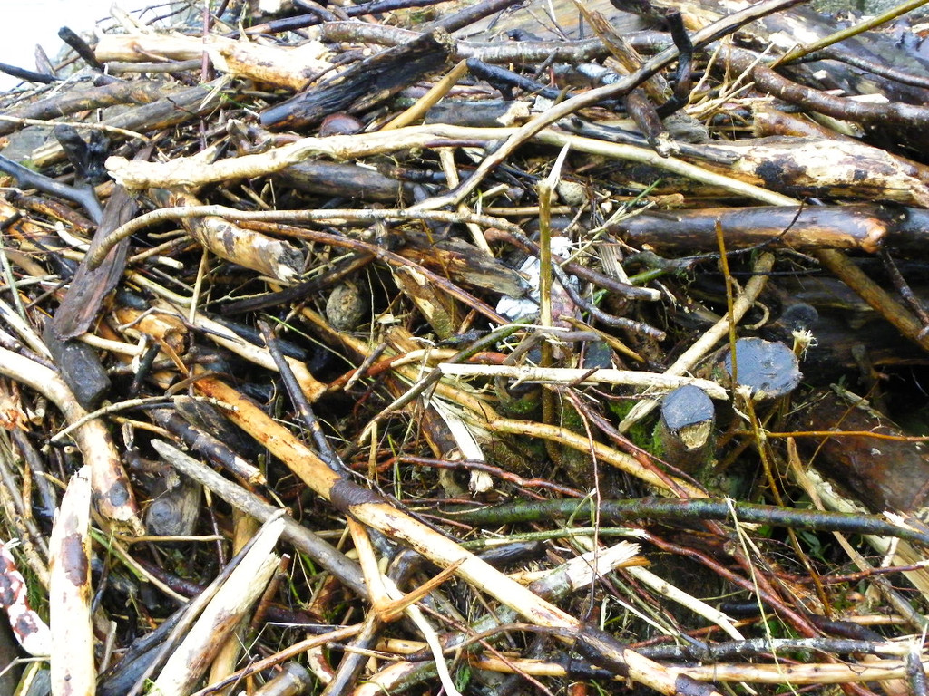 104_6114_jpg-1280422830