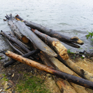 Bild 871_jpg-1280423544