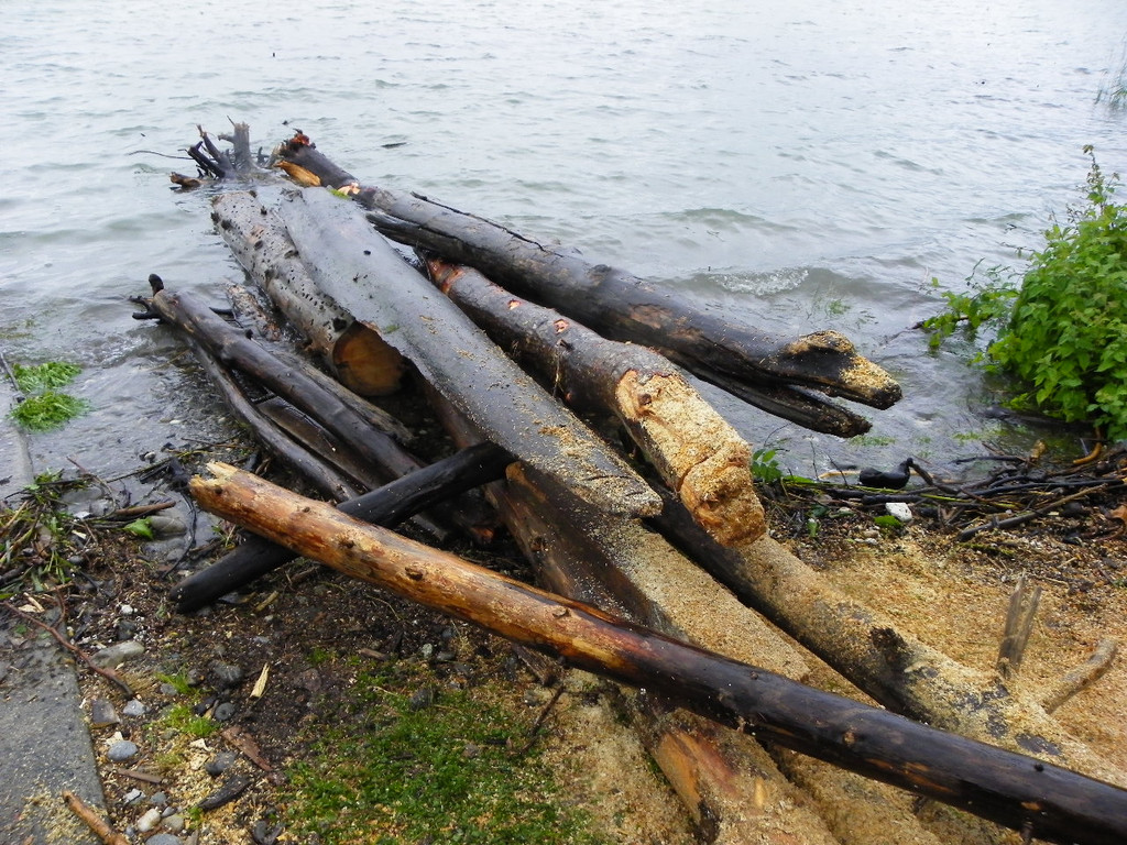 Bild 871_jpg-1280423544