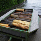 Bild 874_jpg-1280423555